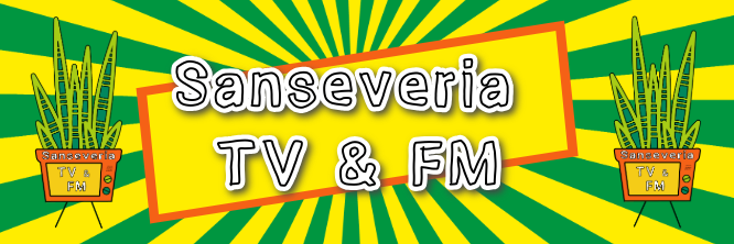 Sanseveria TV&FM