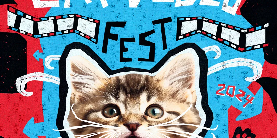 CatVideoFest